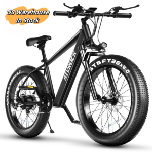 Professional Electric Bike Mountain Bicycle